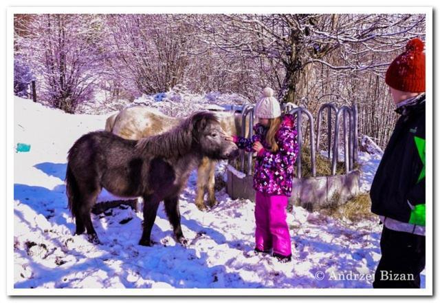 Cicha Woda Pieszyce Exteriér fotografie
