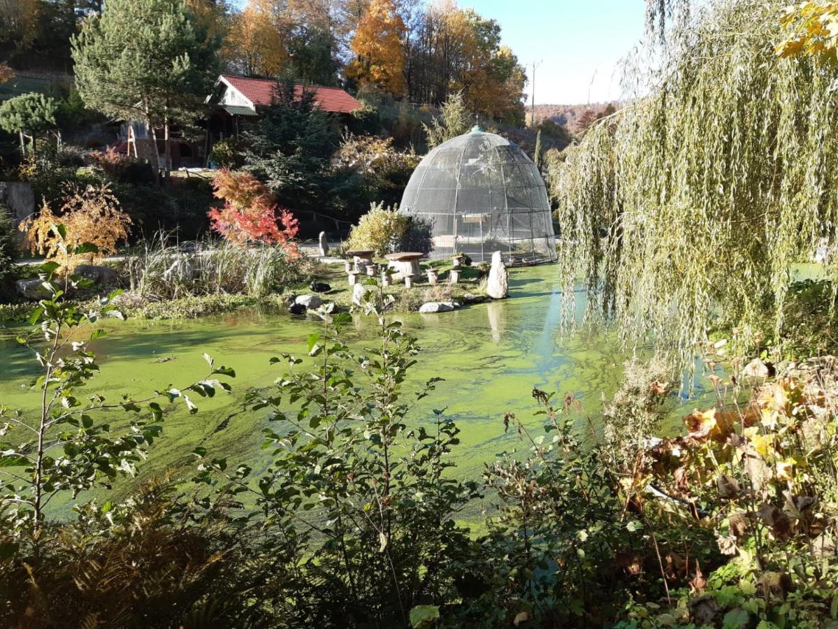 Cicha Woda Pieszyce Exteriér fotografie